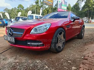Mercedes-Benz SLK-Class 2011 Maroon