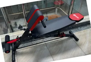 Adjustable Decline Sit-Up Bench With Leg Support and Back Extension