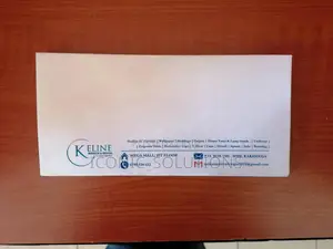 DL Envelope Printing - White