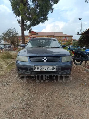 Volkswagen Passat 2.5 D 1999 Gray