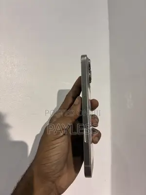 Apple iPhone 16 Pro Max 256 GB Gray