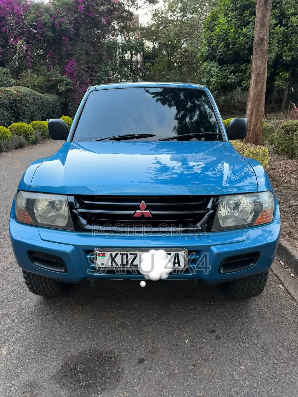 Mitsubishi Pajero 2002 Blue