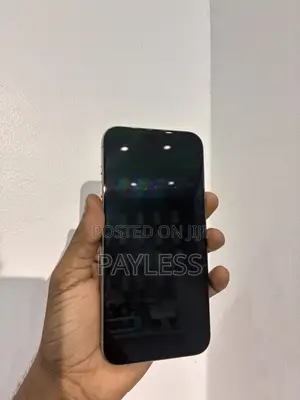 Apple iPhone 15 Pro Max 256 GB Gray