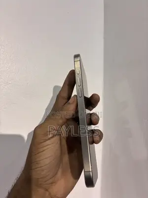 Apple iPhone 15 Pro Max 256 GB Gray