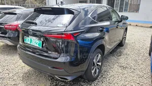 Lexus NX 300 AWD 2019 Black