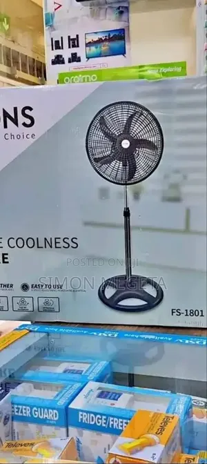 Lyons 18" Standing Fan