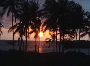 Beach Accomodation in Watamu
