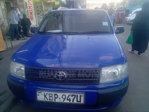 Toyota Probox 2004 Blue