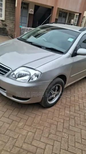 Toyota Corolla Fielder 2004 Silver