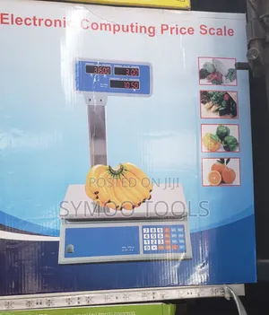 Electronic Computing Price Scale