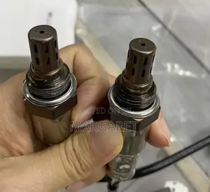 Oxygen Sensors