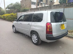 Toyota Probox 2007 Silver