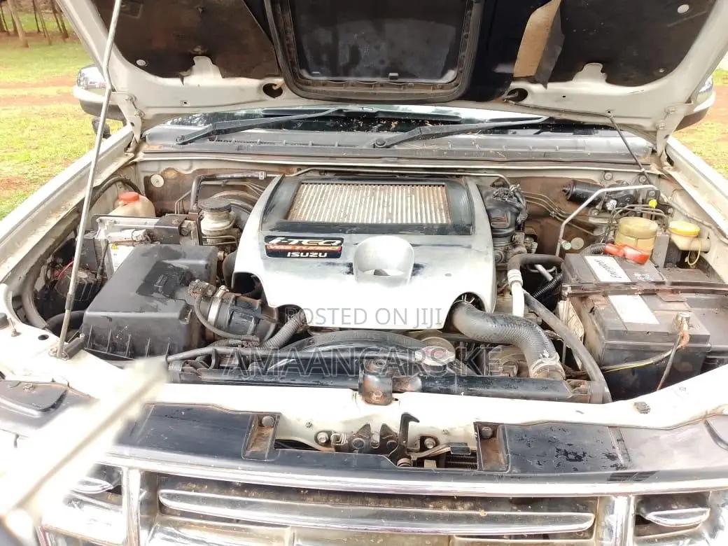 Isuzu D-MAX 2010 Silver