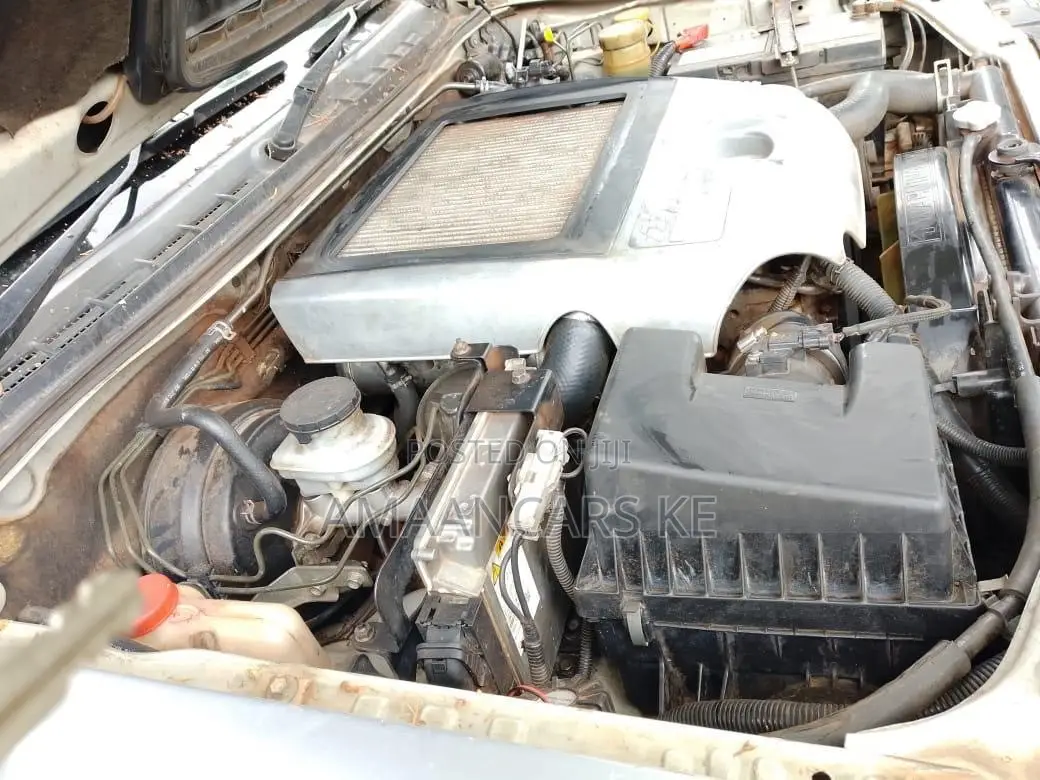 Isuzu D-MAX 2010 Silver