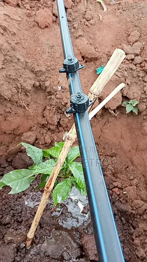 Coffee Irrigation System (Button Irrigation)