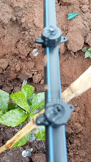 Coffee Irrigation System (Button Irrigation)