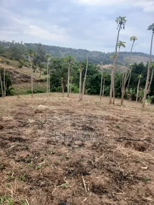 5acres in Kamahuha Murang'a Touching River