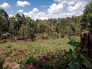 Plot for Sale in Wangige, Kibichiku.