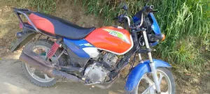 TVS HLX 125 2026 Blue