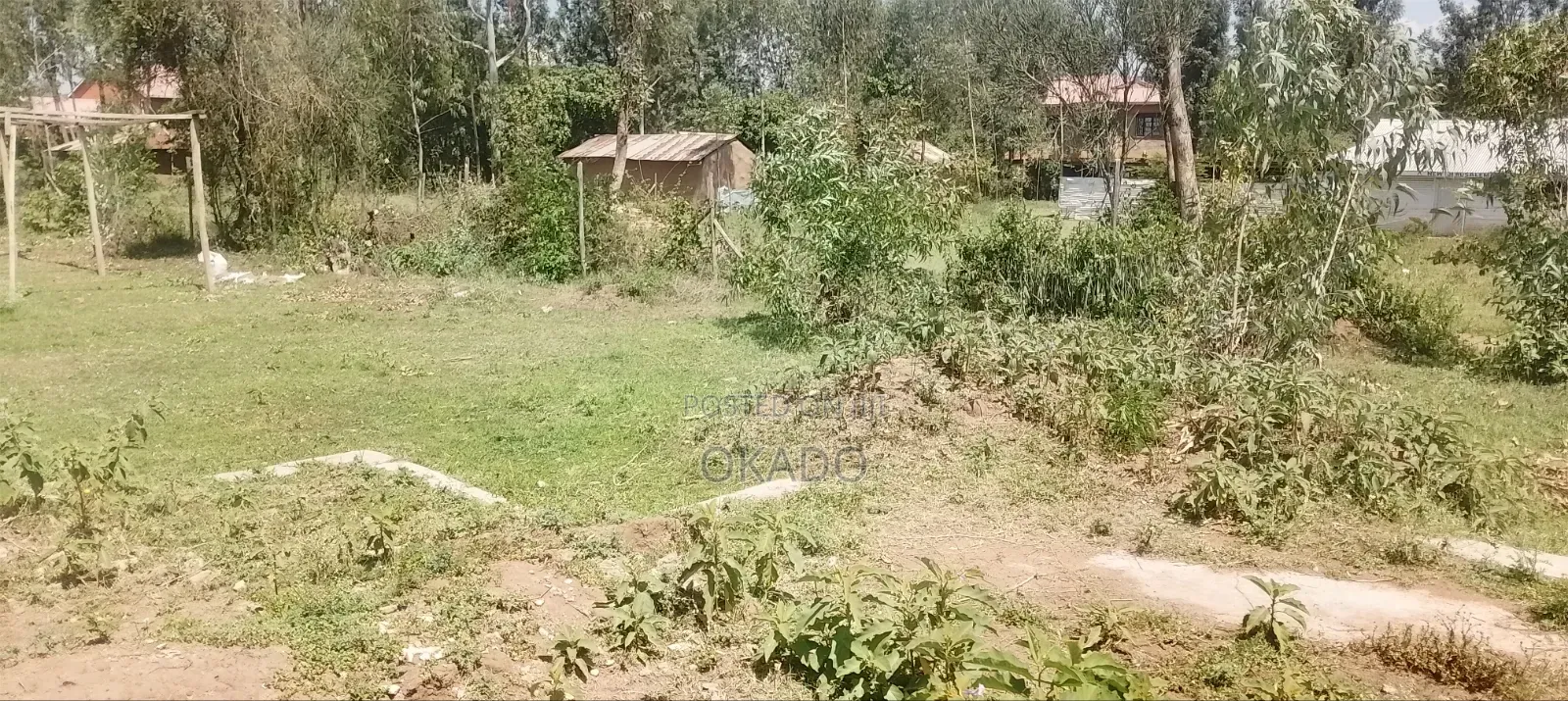 Land for Sell