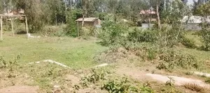 Land for Sell