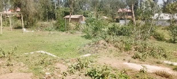 Land for Sell