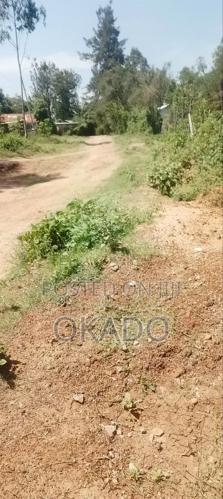 Land for Sell