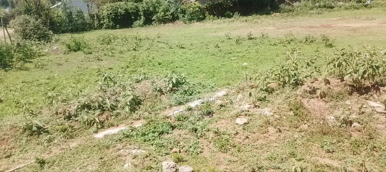 Land for Sell