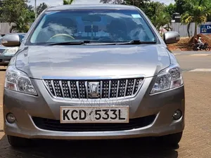 Toyota Premio 2009 Gray