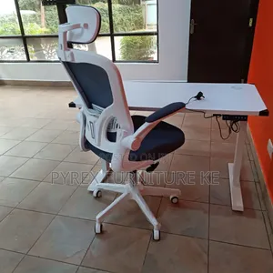 White Frame Grey Mesh With Lumbar Support