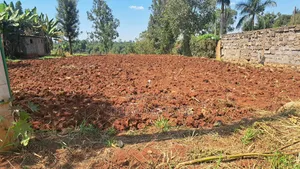 100×100 Red Soil