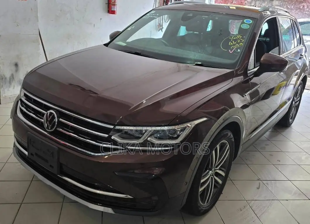Volkswagen Tiguan 2.0T S 2021 Brown