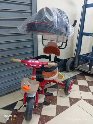Tricycle With Canopy