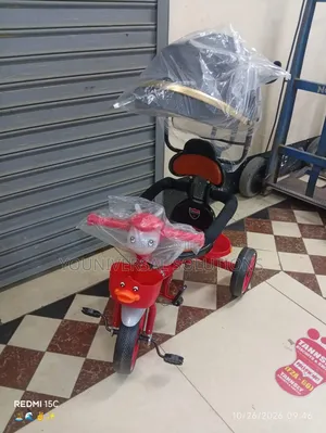 Tricycle With Canopy And Push Handle