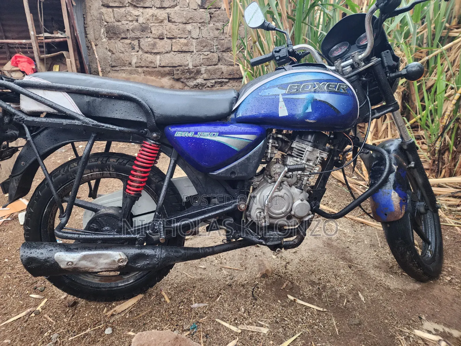 Bajaj Boxer 2016 Blue