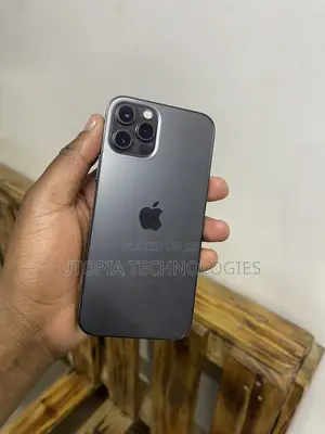 Apple iPhone 12 Pro 256 GB Gray