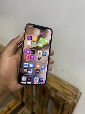 Apple iPhone 12 Pro 256 GB Gray