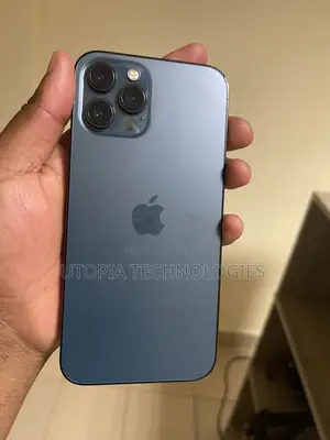 Apple iPhone 12 Pro Max 256 GB Gray