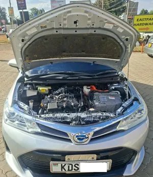 Toyota Corolla Fielder 2018 Silver