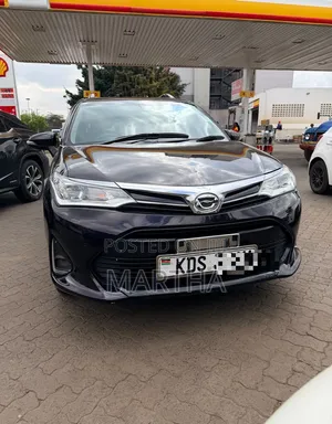 Toyota Corolla Fielder 2017 Black