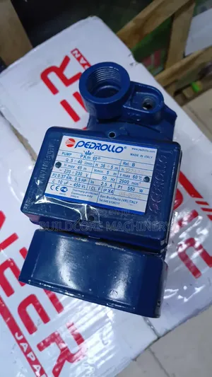 QB60 Pedrollo 0.5hp Water Pump/Booster Pump