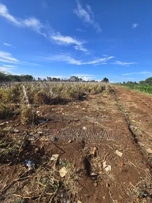 Land in Kirinyaga County, Mwea Constituency