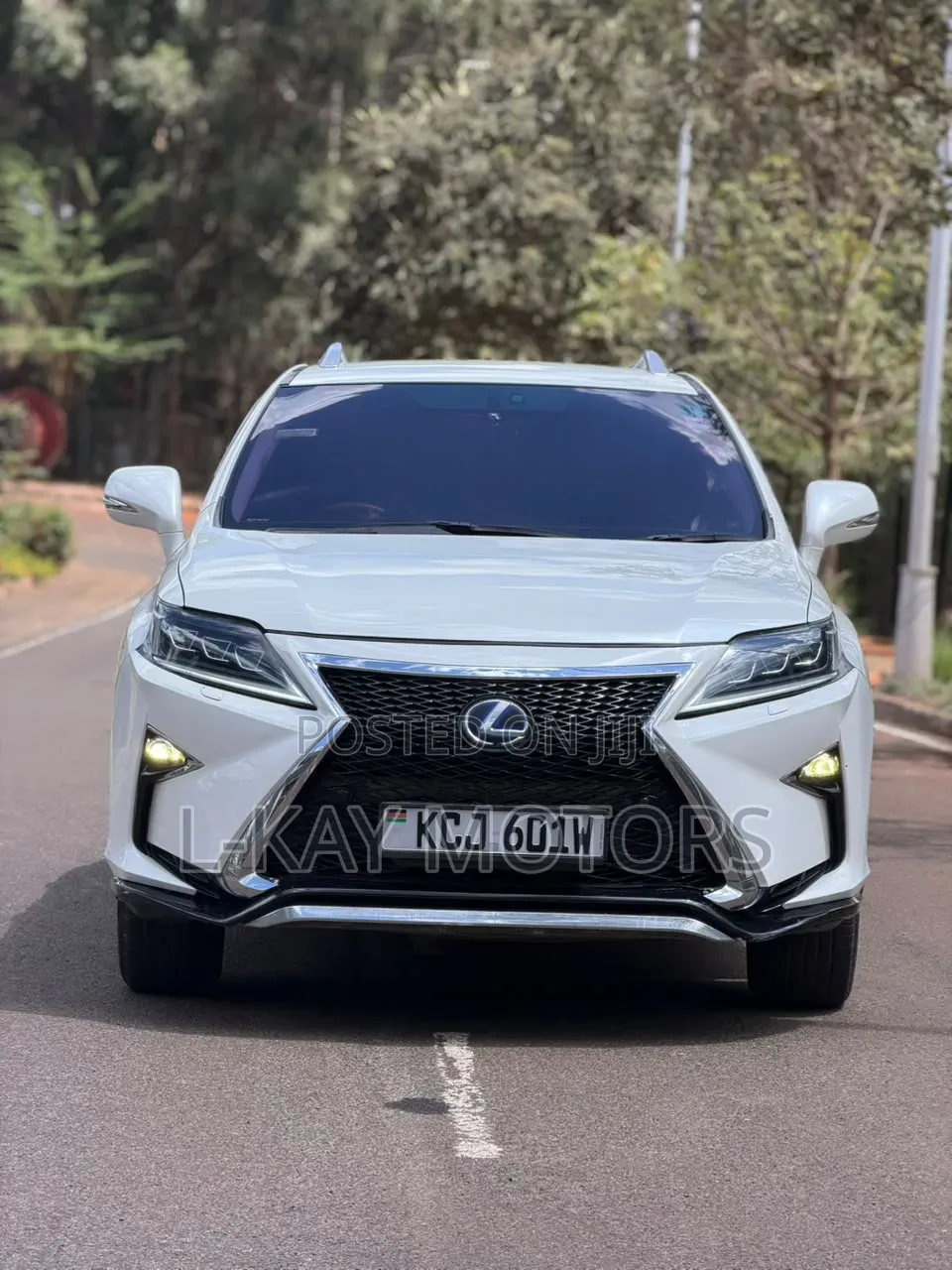 Lexus RX 2010 White