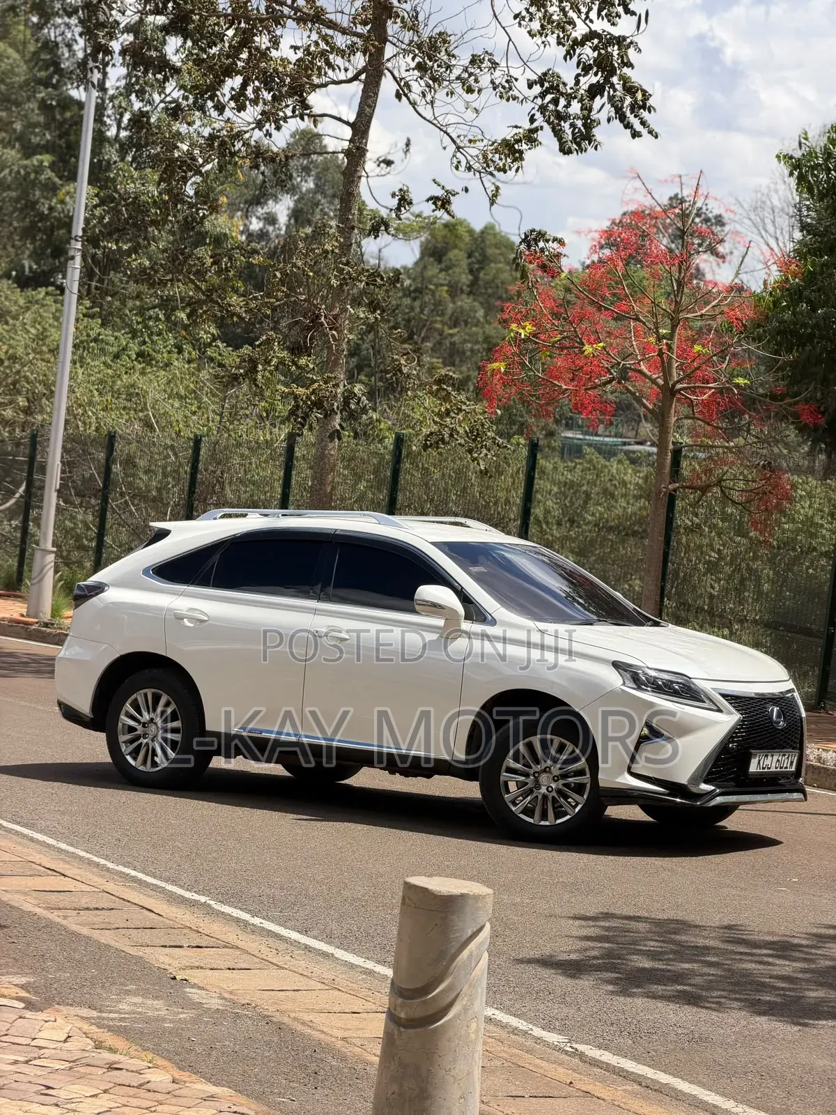 Lexus RX 2010 White