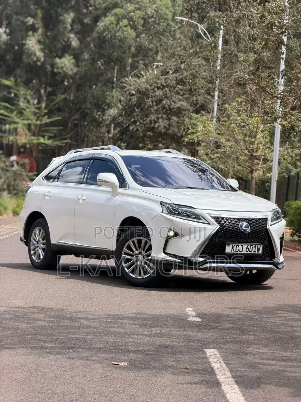 Lexus RX 2010 White