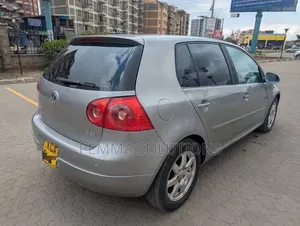 Volkswagen Golf 2007 Gray