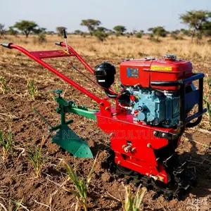 Chain Mini Tiller Weeds Between Maize Rows for Sale Kenya
