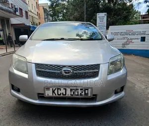 Toyota Axio 2009 Silver