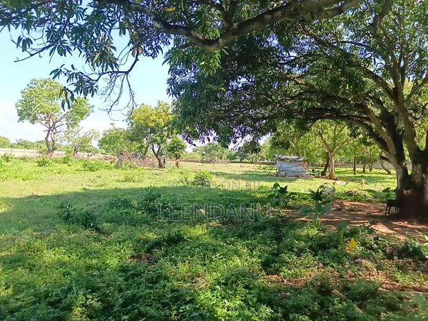 1/4 Acre Plot for Sale - thumbnail 2