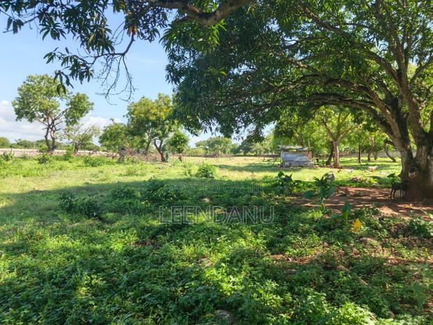 1/4 Acre Plot for Sale - main view